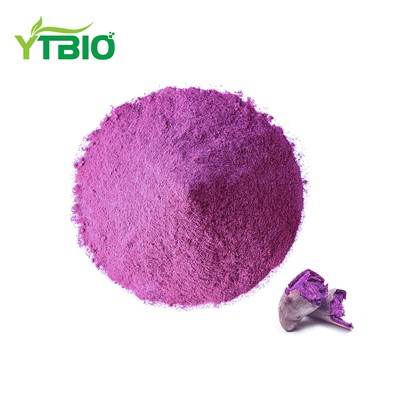 Purple Sweet Potato Powder Bulk